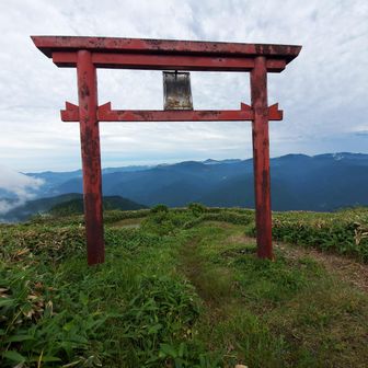 天空の鳥居⛩️
天狗ノ森、不入山など四国カルストの山が一望

下山は車道歩きで