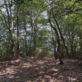 鶏冠山頂上
眺望無し