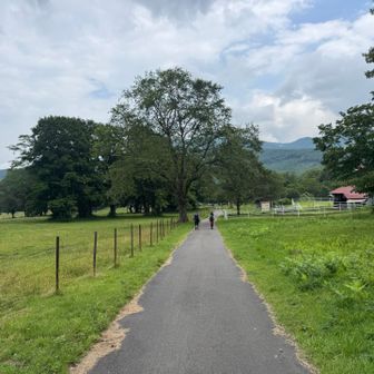 のどかな風景。これまでの山行が嘘のよう。