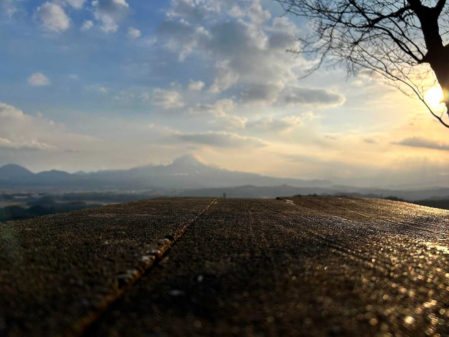要害山からの大山🗻