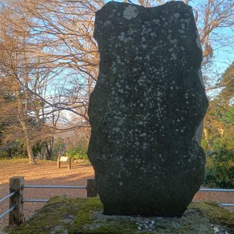 築井古城記碑とあった(多分本丸跡)
津久井は後年の名前なんだね