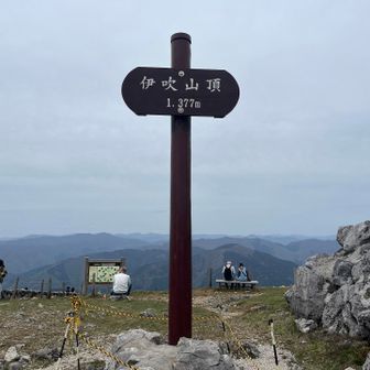 前回は真っ白だったけど今日はバッチリ
