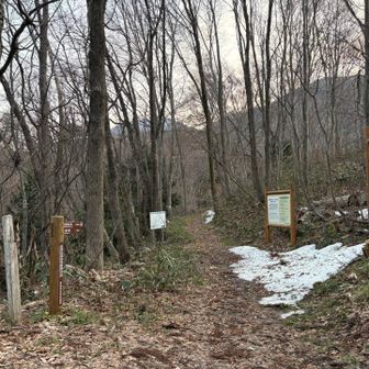 久しぶりの大地…