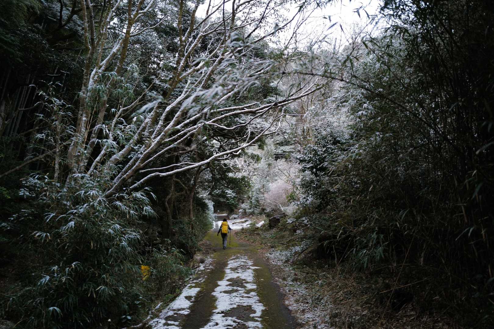 ほんのり雪がまた素敵📸