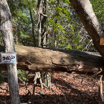 寄り道して３つ目のピークゲット⛰️
