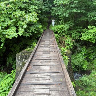 滝を見た後は、登山口まで戻ってこの橋を渡ります。ここから山歩き、スタート！