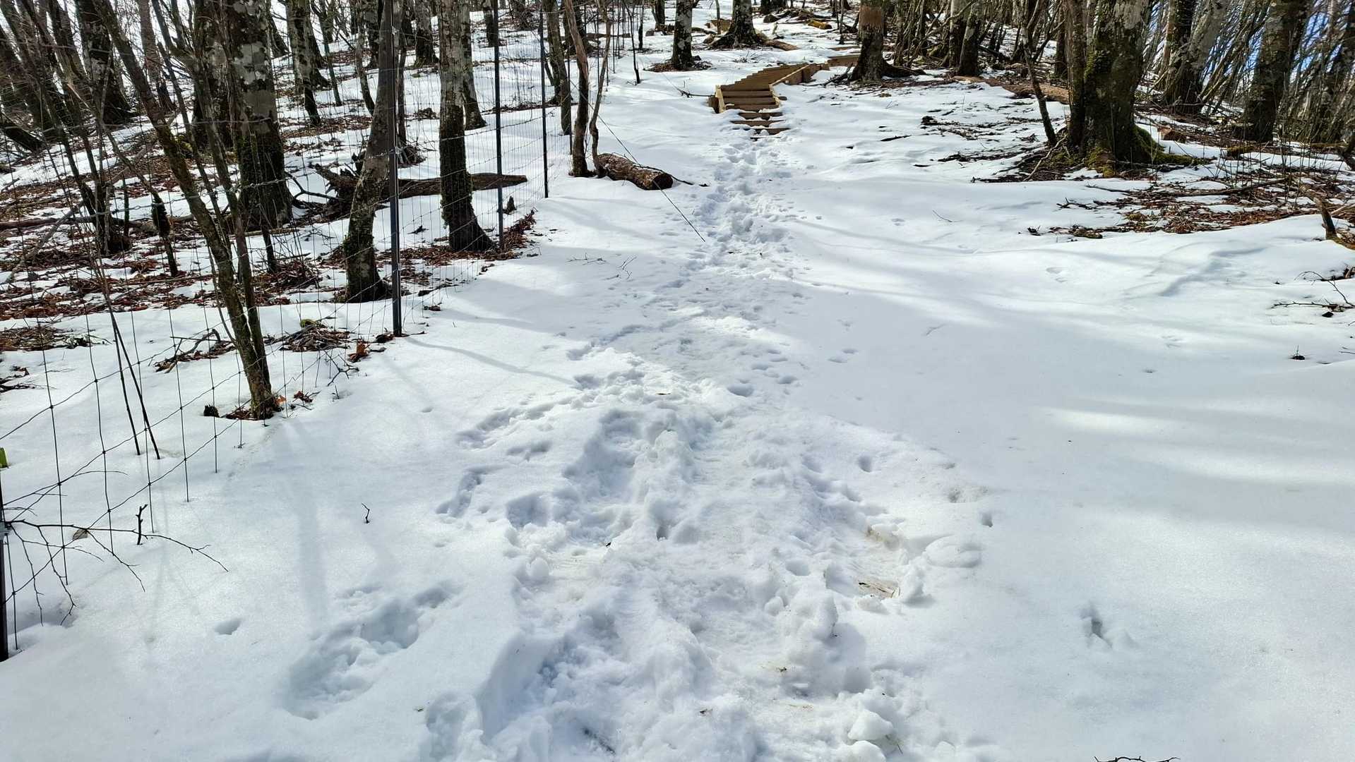 菰釣山の直下は雪多め