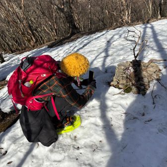 撮影結果は あずあず で検索👇