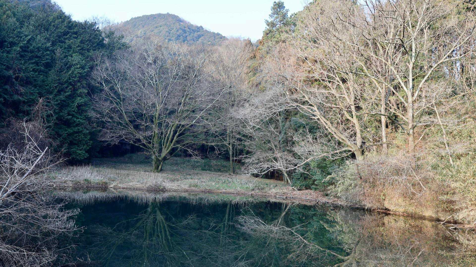 上ノ池横登山口-銀峰-出逢いの広場-二上山-第二十六経塚「 往復コースの写真
