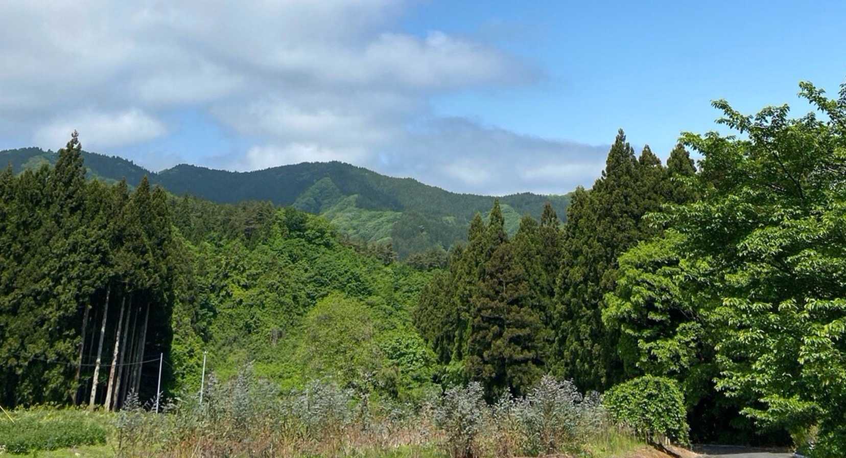 木幡山の写真