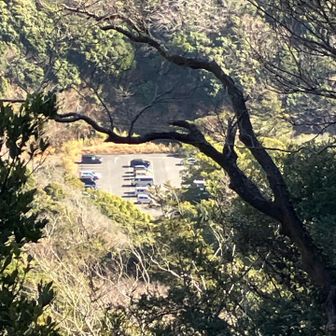 南駐車場が見えて来ました。駐車場に空きが多いです。