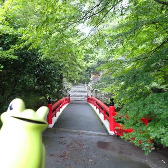 この橋渡ります、赤がきれい