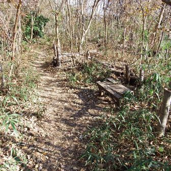 山頂はこの様な感じです。
眺望はありません。🙇‍♂️