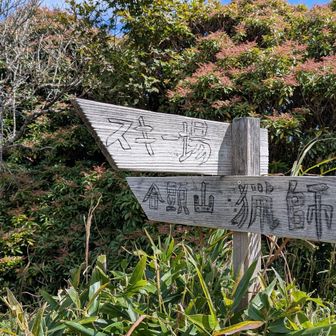 スキー場に下る分岐点
