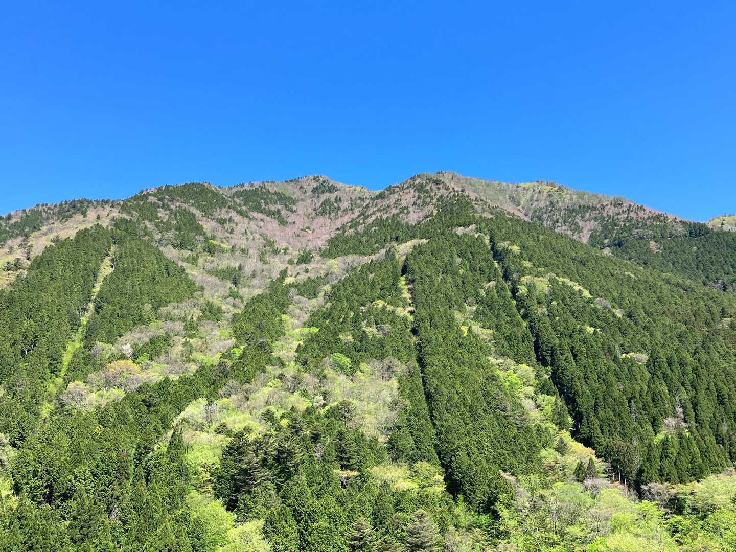 寺田小屋山と青空。この青空が良いねえ。