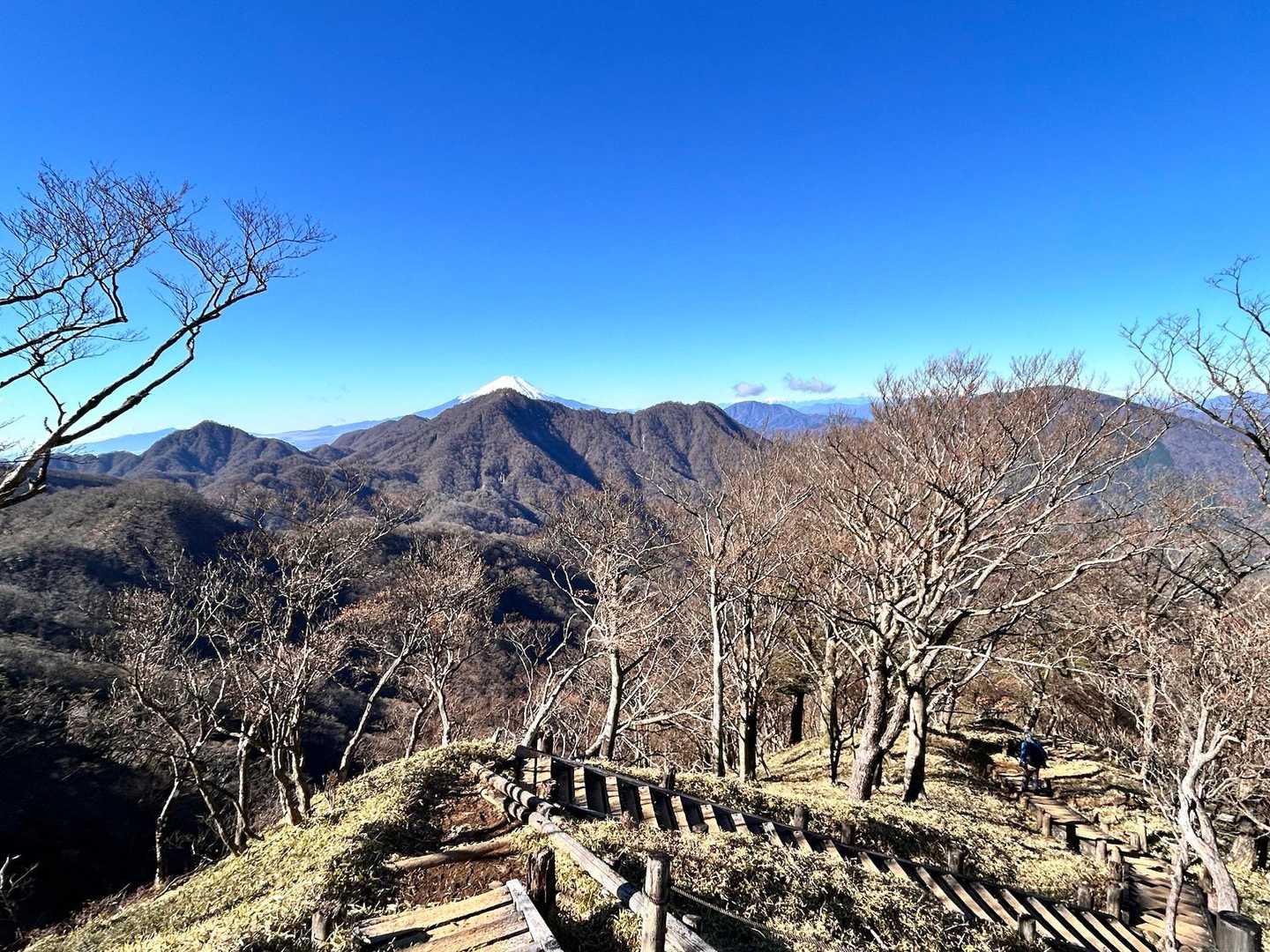 振り返れば富士山🗻と木段がいる