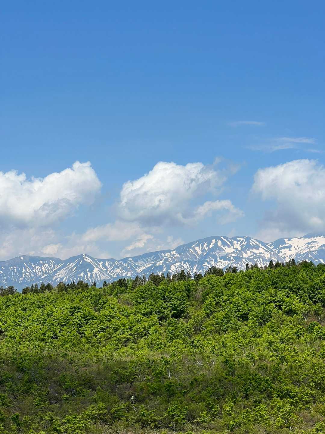 白山の残雪がきれいです😊