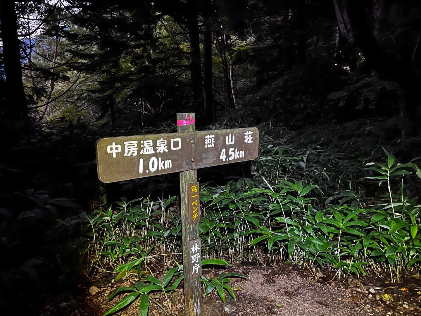 第一ベンチ

北アルプス三大急登と言われるので急だけど、整備されていて歩き易い
(下りでしか使ってないので初登り)