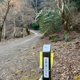 やっとここからスタートです
今日は北山の1から23まで