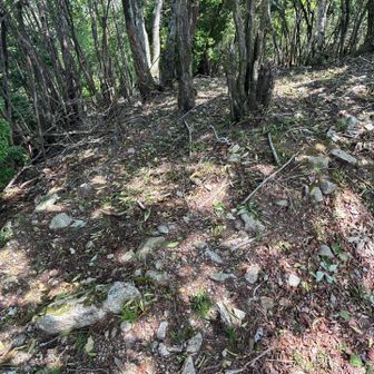 写真でわかにくい斜度↘️