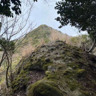 これは大日ヶ岳ではない