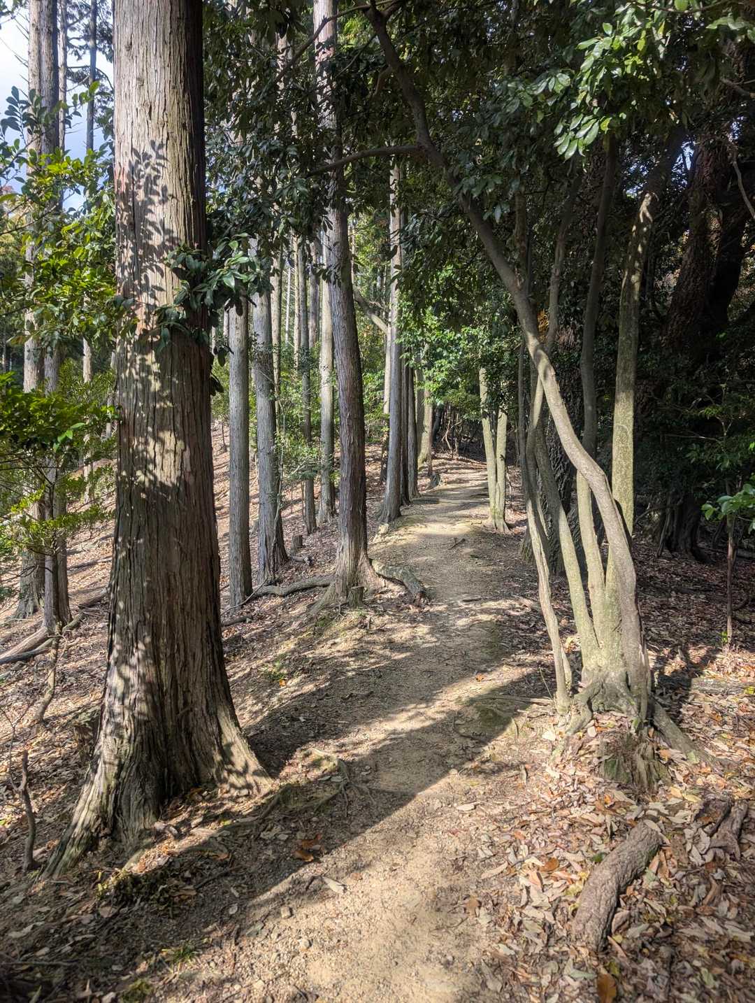 三国峠-石子詰登山口 周回コースの写真