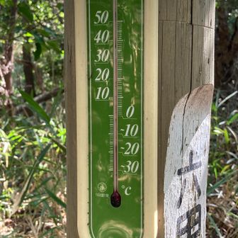 源平古道との出合で31℃

そんなにあるかなぁ？🤔

まあまあ暑いはずだけど猛暑続きでもはや感覚が麻痺してる🤭