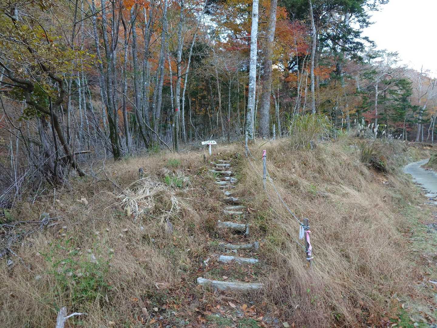 ここまで林道でしたが山に入ります
ここまで紅葉を堪能しすぎて、ここでお茶して帰っても満足なぐらい！
