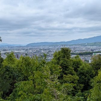 景色あります