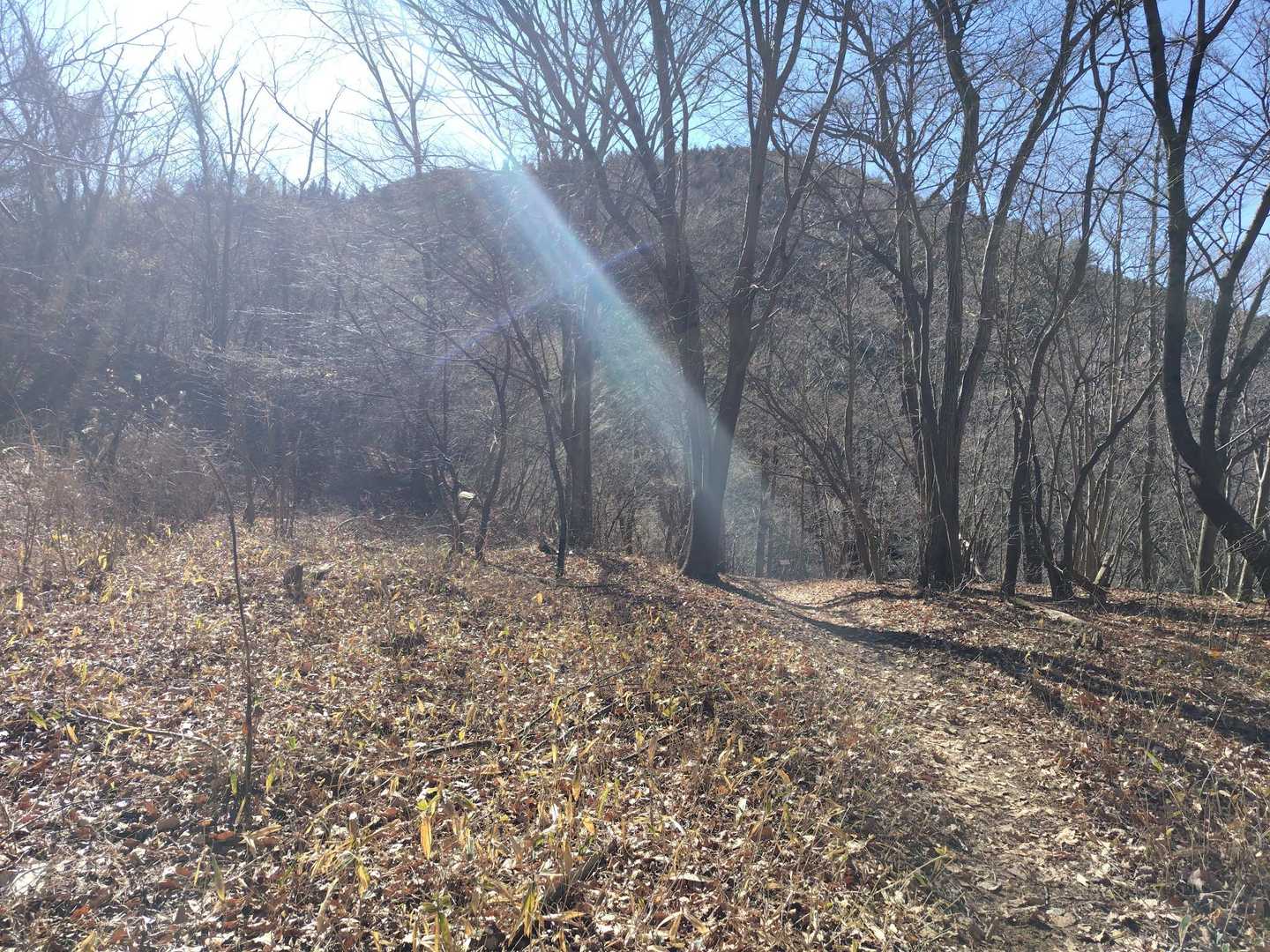 堂平山へ向かいます。無風で陽射しが暖かい