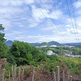 唯一の展望でした（笑）