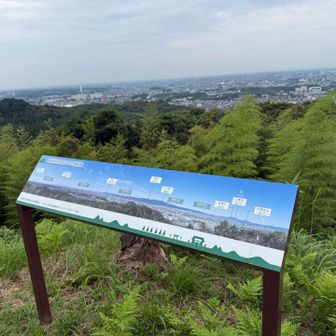 展望台の方に移動