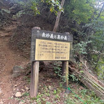 妙義。歩き尽くしたいなと思いました。