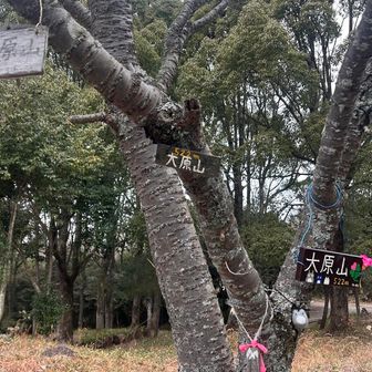 いっぱいつけんといて。
怖い怖い。