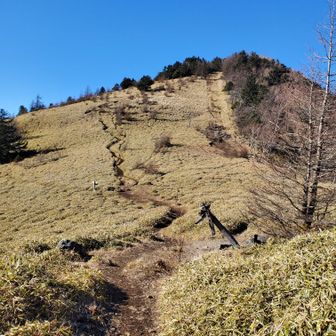 石丸峠まで戻ってきました
ここから別の道で上日川峠まで下るルートもありますが、熊が定期的に目撃&出没の情報があったのでスルーして大菩薩峠まで登り返しです
