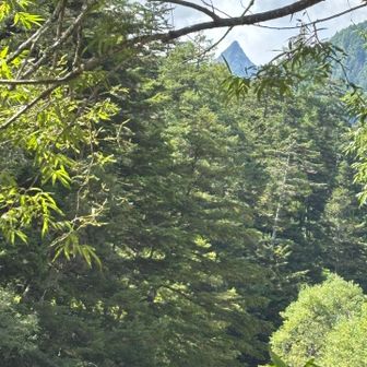 最後の槍ヶ岳を拝み