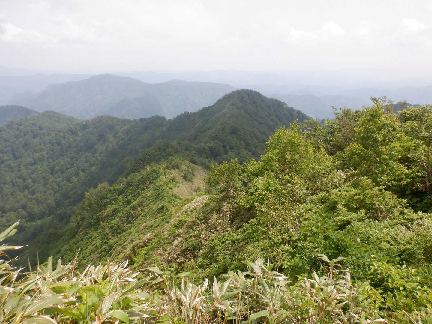 登ってきたルート🧗