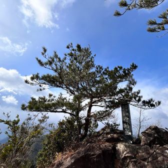 あっという間に山頂にとうちゃーく