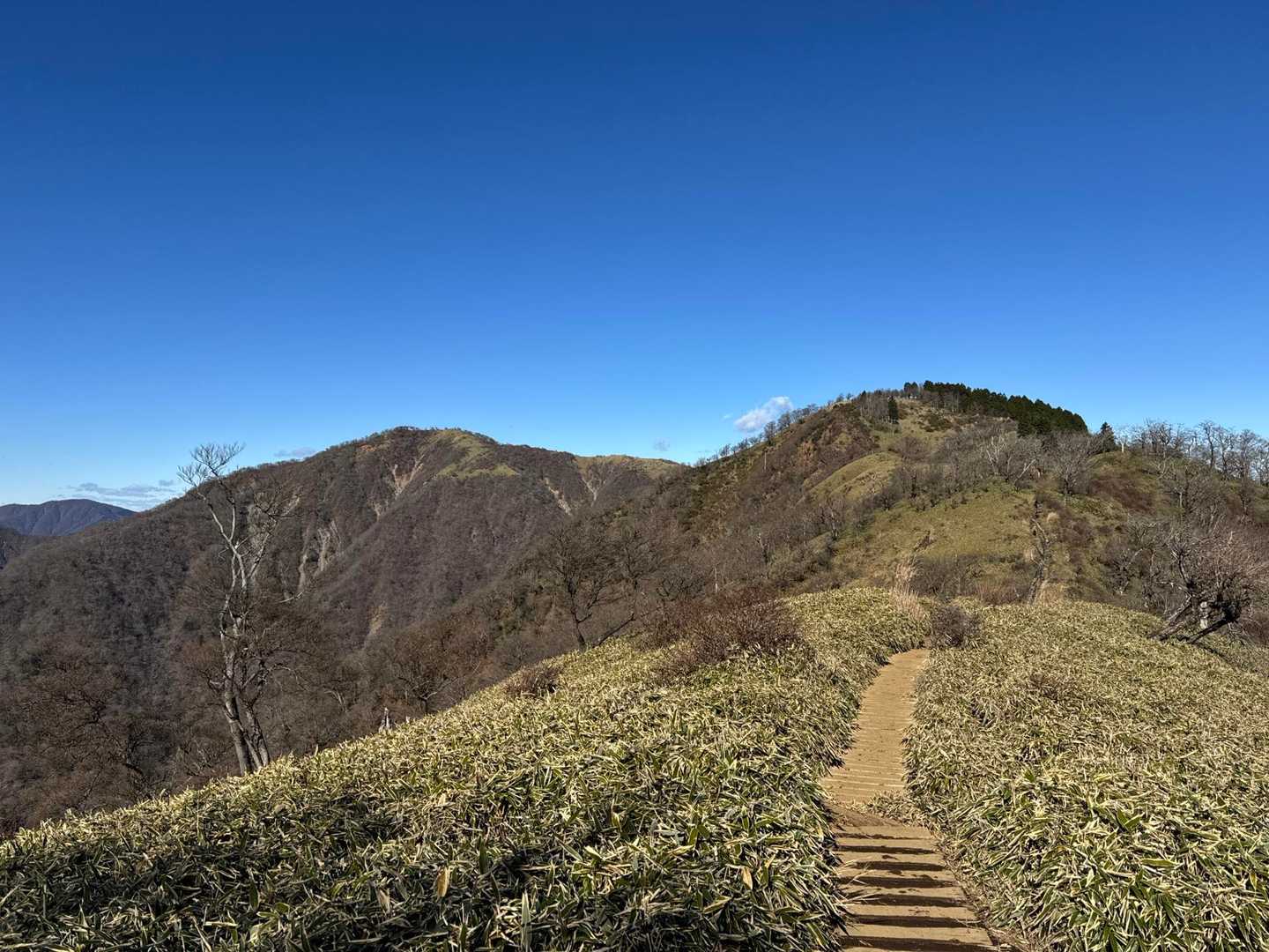 大倉バス停-観音茶屋-堀山-花立ノ頭-塔ノ岳-日高-竜ヶ馬 往復コースの写真