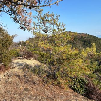 天目山⛰️からの眺め