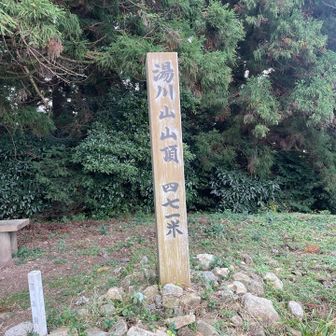 急登でヒーヒー言いながらの
湯川山とうちゃこ⛰