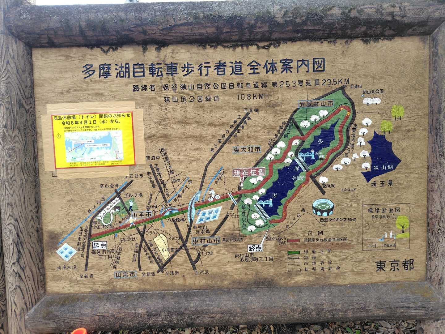 久しぶりに多摩湖に来ました。