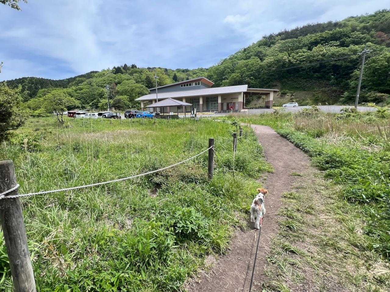 戻って来ました