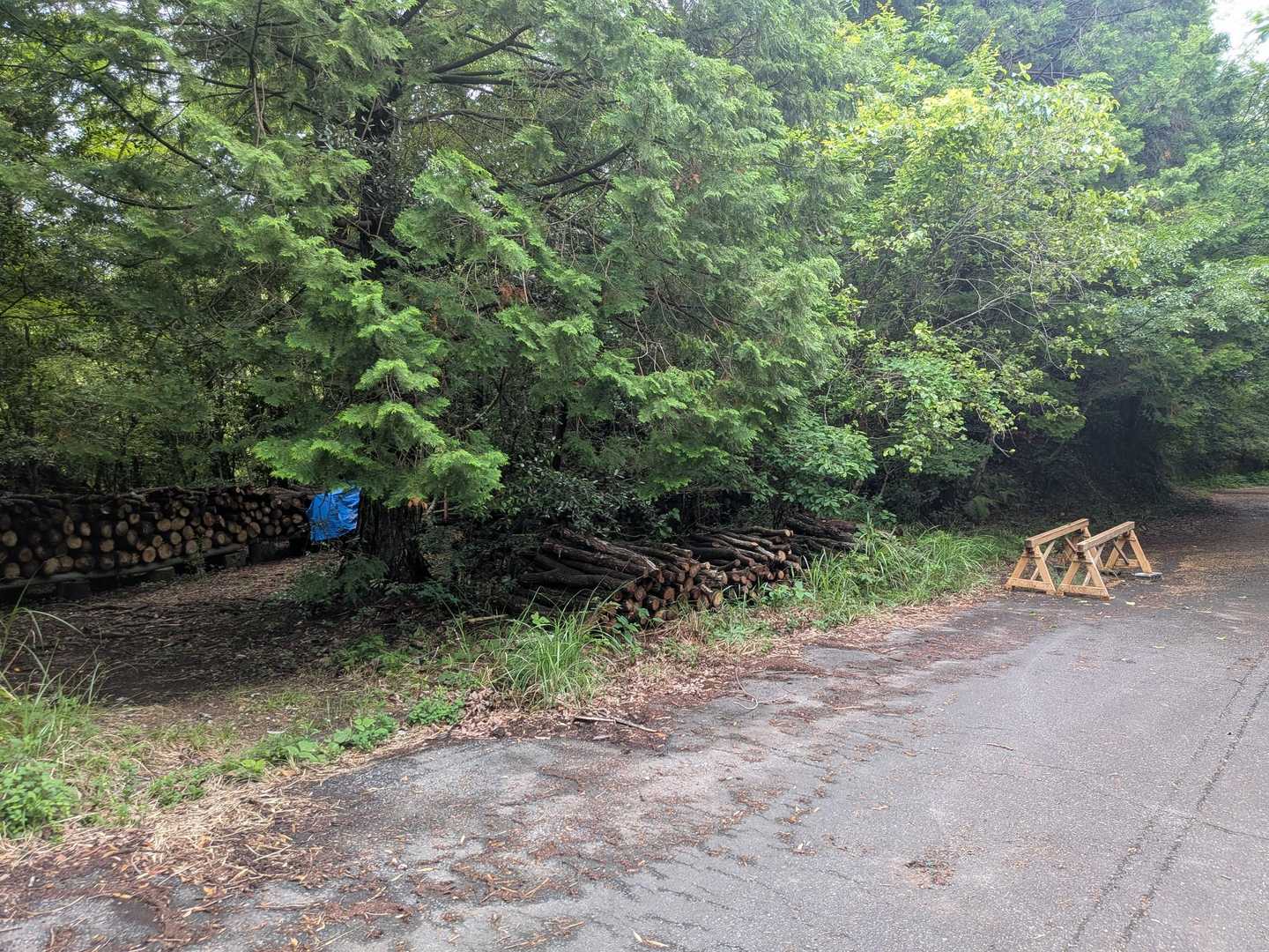 八天神社登山口-土器山-猿岳-腰巻山-大峠-金立山-金立神 縦走コースの写真