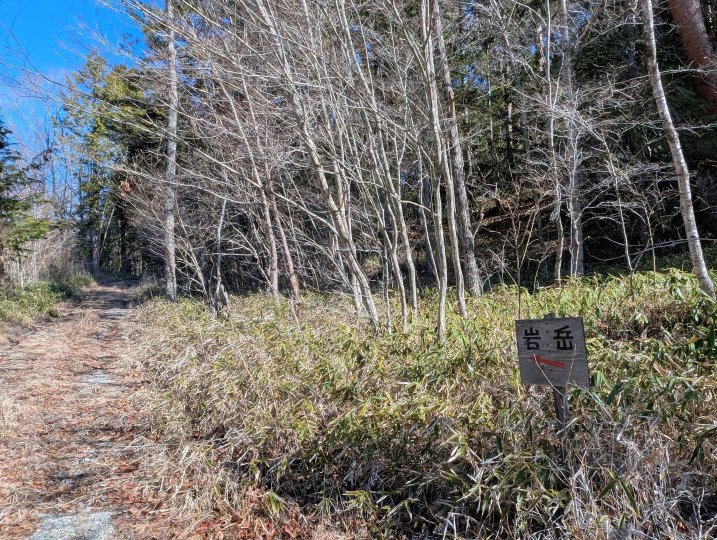 登山道口に取り付く林道脇に車を停めてスタート