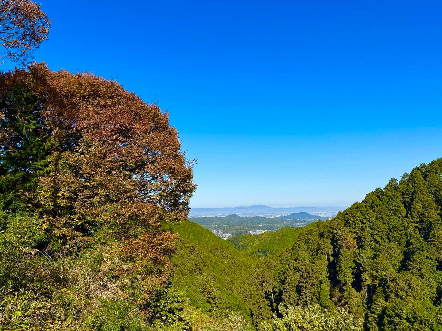 高取山-高取城跡入口 周回コースの写真