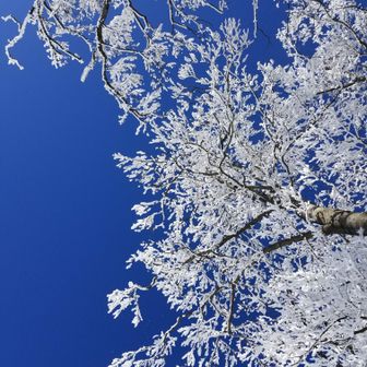 樹氷のボリュームがスゴい