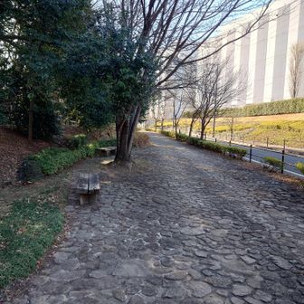 こんな道になりました。