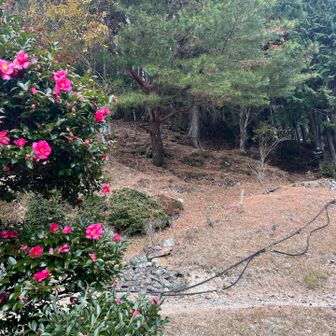 駐車場に戻ってきました