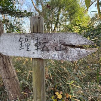 ちょっと逸れて鐘転山へ